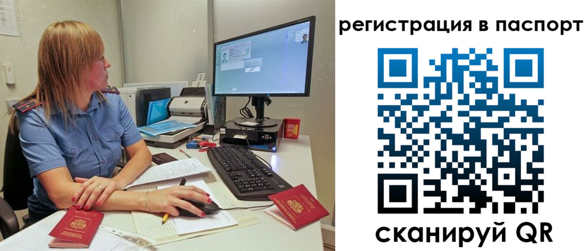 регистрация для школы в Сельцо